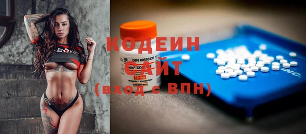 мдпв Вяземский