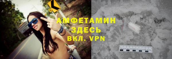 мдпв Вяземский