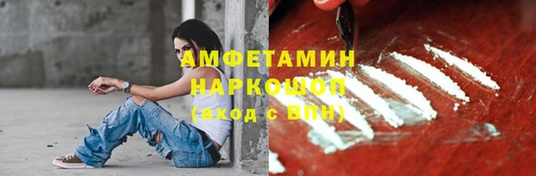 мдпв Вяземский