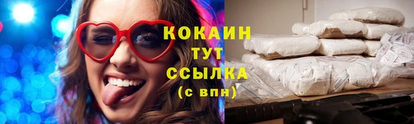 мдпв Вяземский