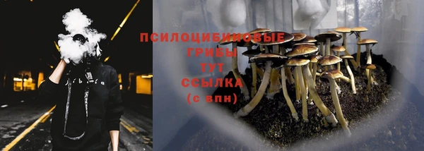 прущая мука Вязьма