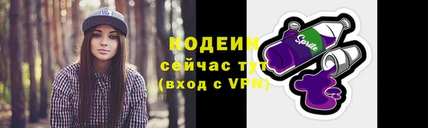 мдпв Вяземский