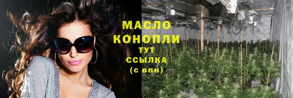 мдпв Вяземский