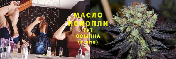 мдпв Вяземский