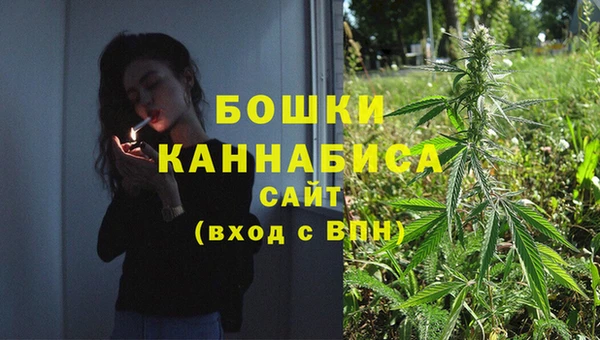 мдпв Вяземский