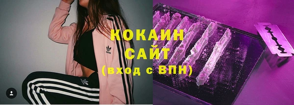 мдпв Вяземский